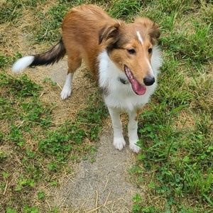 Meet your Posher, Tammy